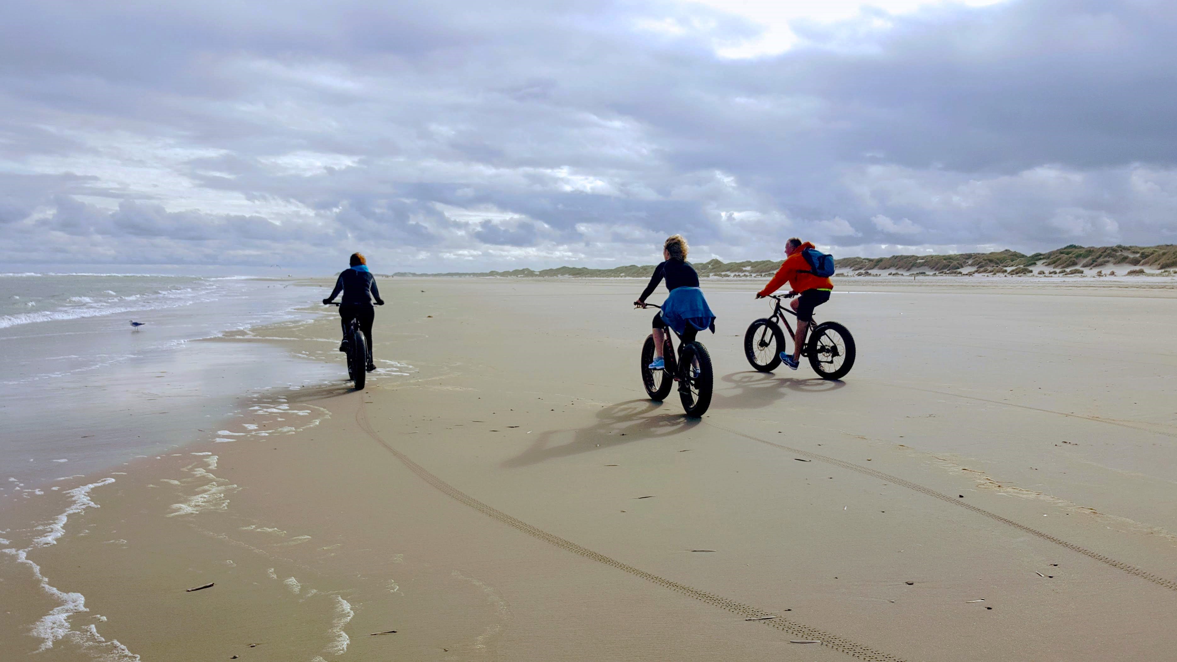 Hond op het strand Terschelling vakantie