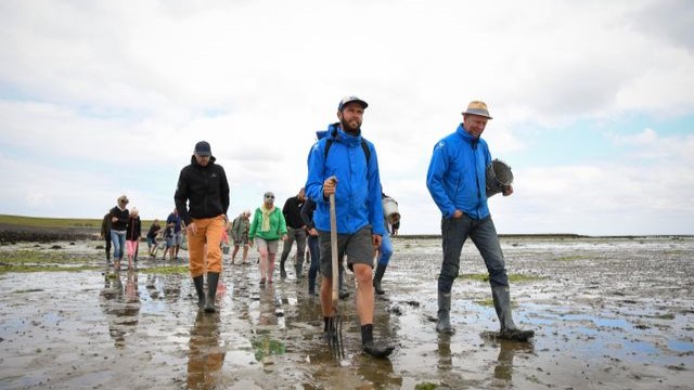 wadlopen met gids op Terschelling in het Waddengebied Nederland