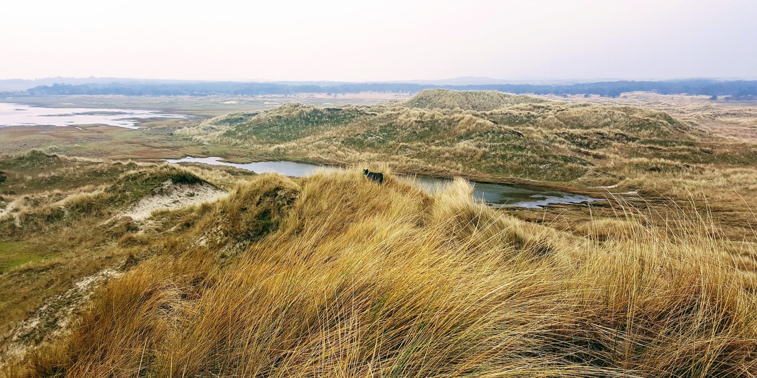 Boschplaat Terschelling Boschplaat Terschelling Dark sky park
