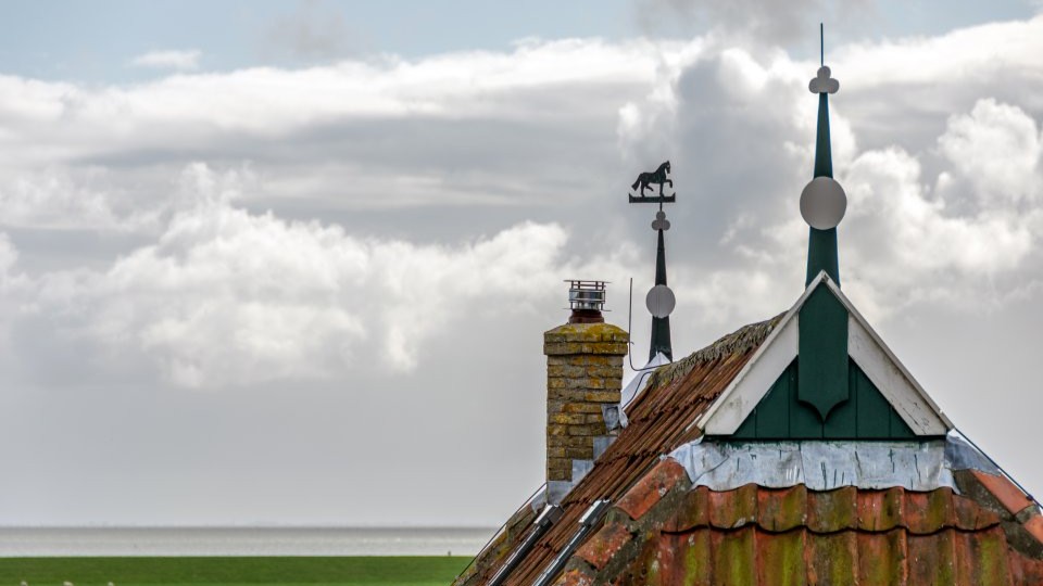 Vakantie boerderij op Terschelling Vakantie boerderij op Terschelling