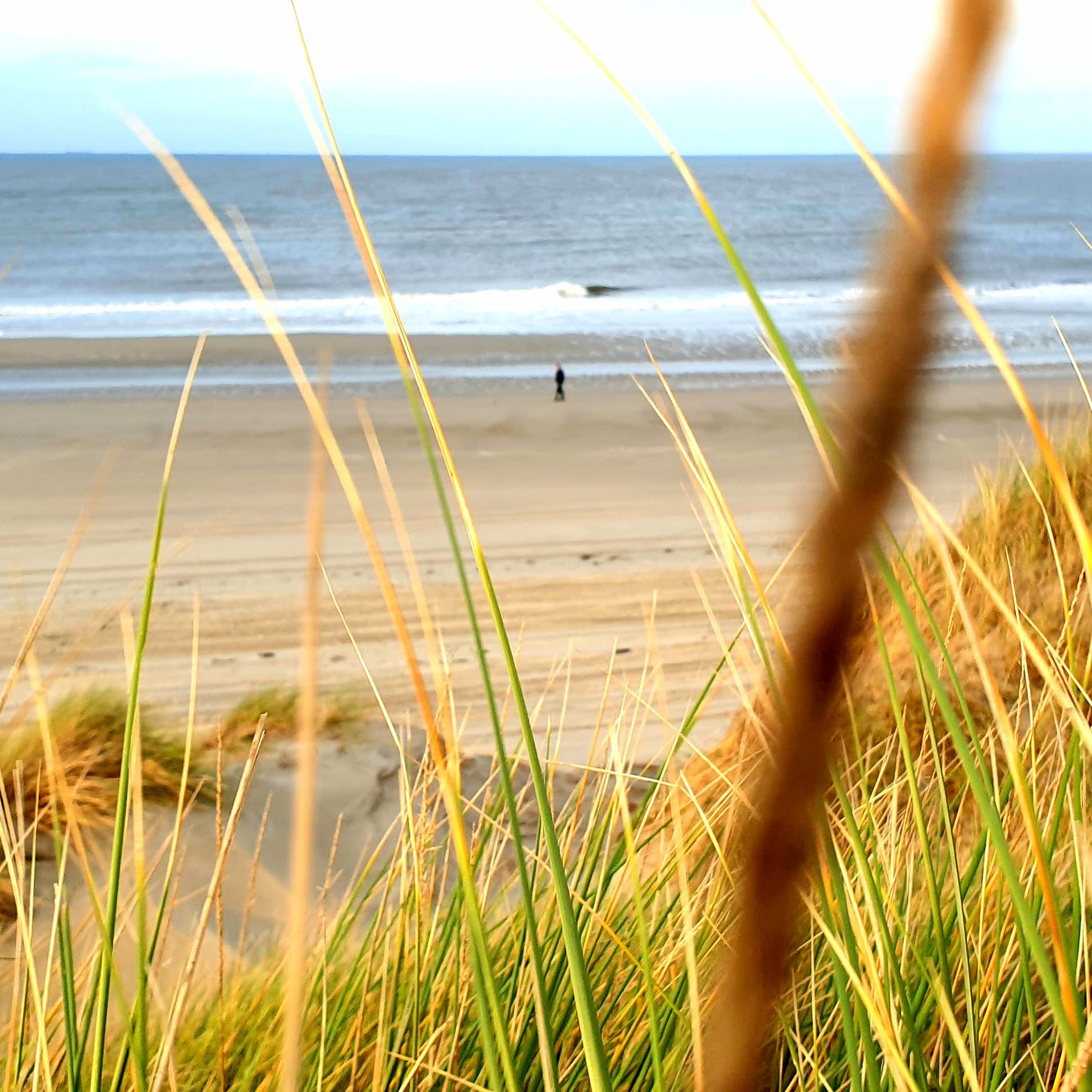 Door de duinen naar het strand en de zee kijken op Terschelling. Genieten op Terschelling van een strandwandeling.