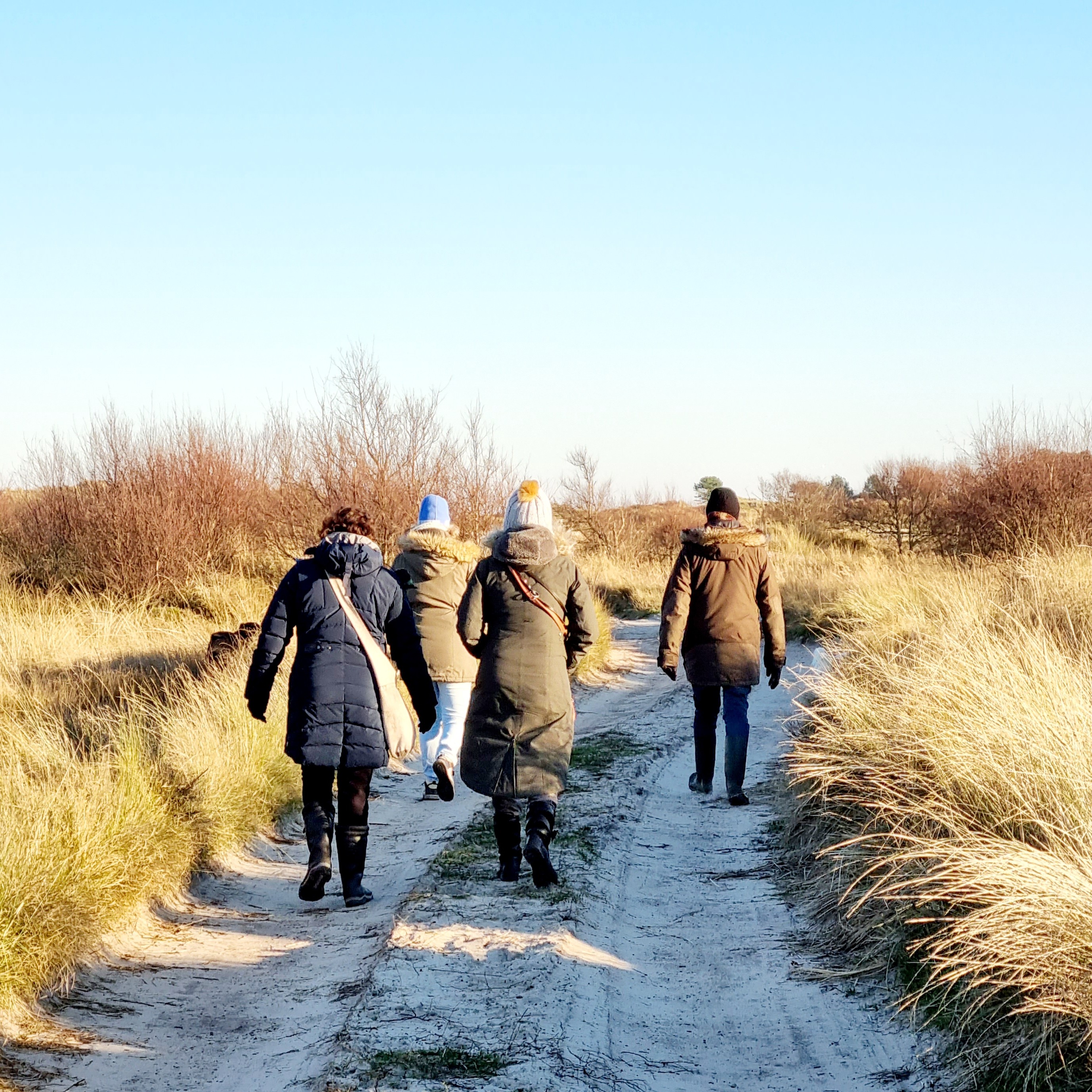 Wandelen op Terschelling over het strand, door de duinen en door het bos