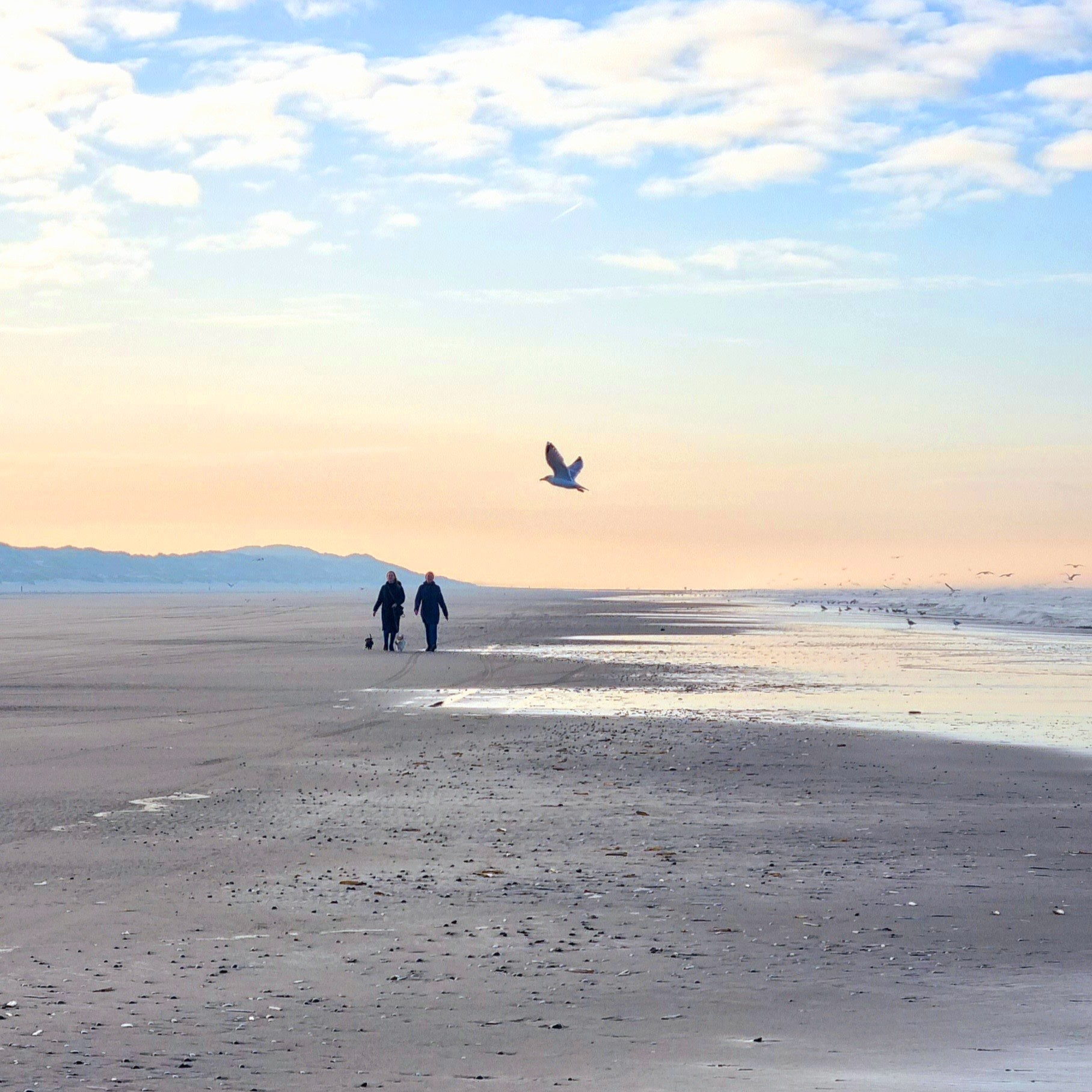 Samen naar Terschelling. Terschelling is de perfecte plek voor een weekendje weg met je partner of beste vriendin.
