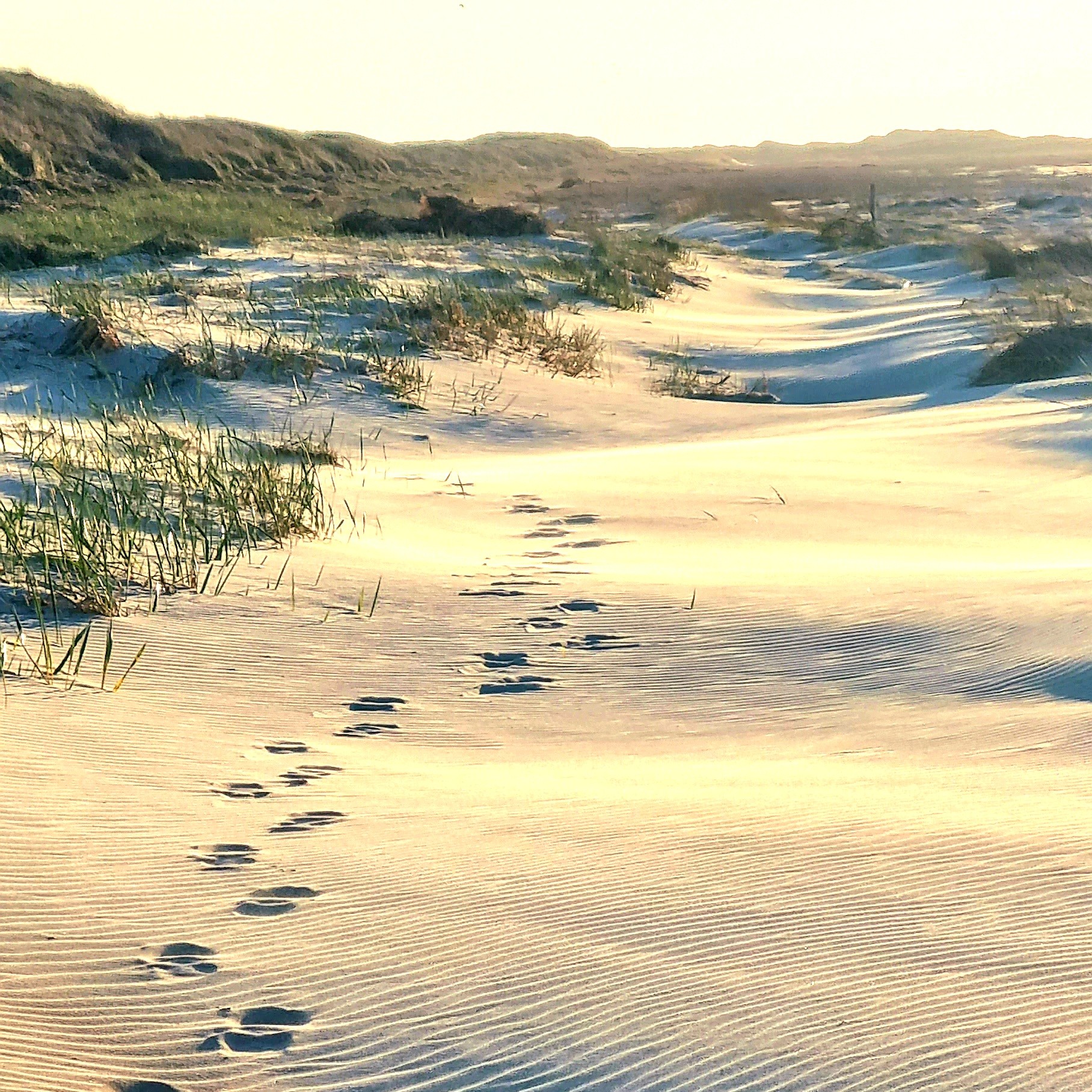 Strandwandeling maken op Terschelling