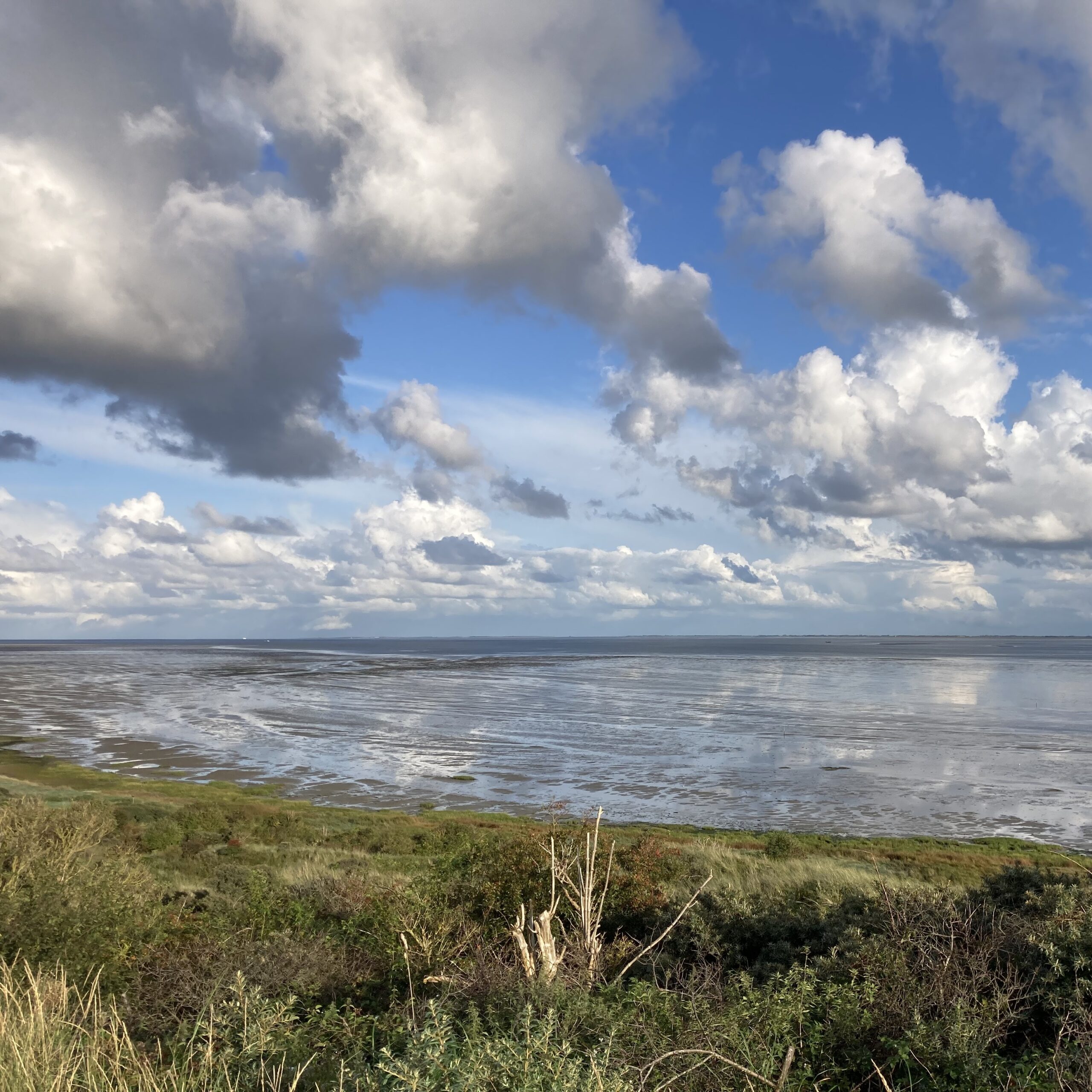 wad met eb en vloed Terschelling