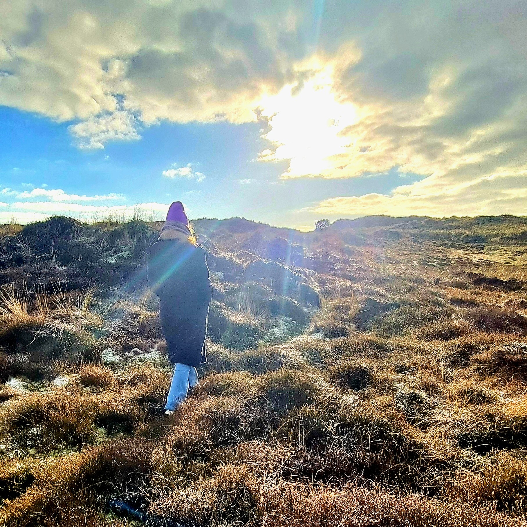 Wandelen door de duinen en de natuur op Terschelling