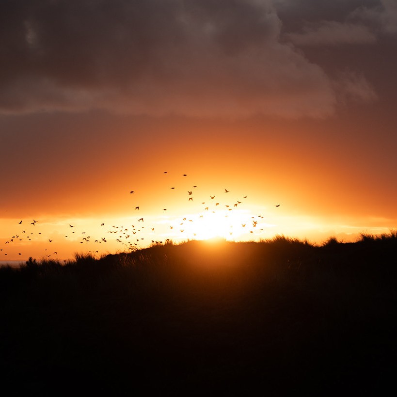 Beleef Terschelling tijdens zonsopkomst op het strand of in de duinen. Een ervaring op Terschelling om nooit te vergeten